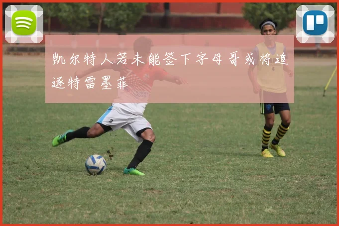 凯尔特人若未能签下字母哥或将追逐特雷墨菲