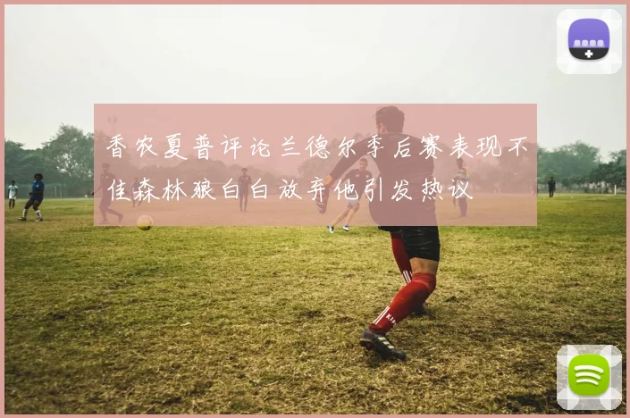 香农夏普评论兰德尔季后赛表现不佳森林狼白白放弃他引发热议