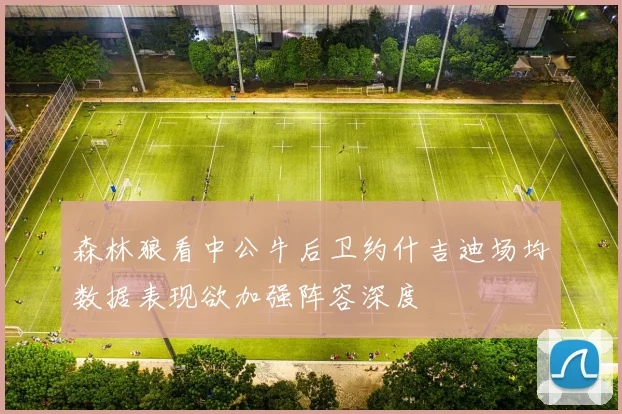 森林狼看中公牛后卫约什吉迪场均数据表现欲加强阵容深度